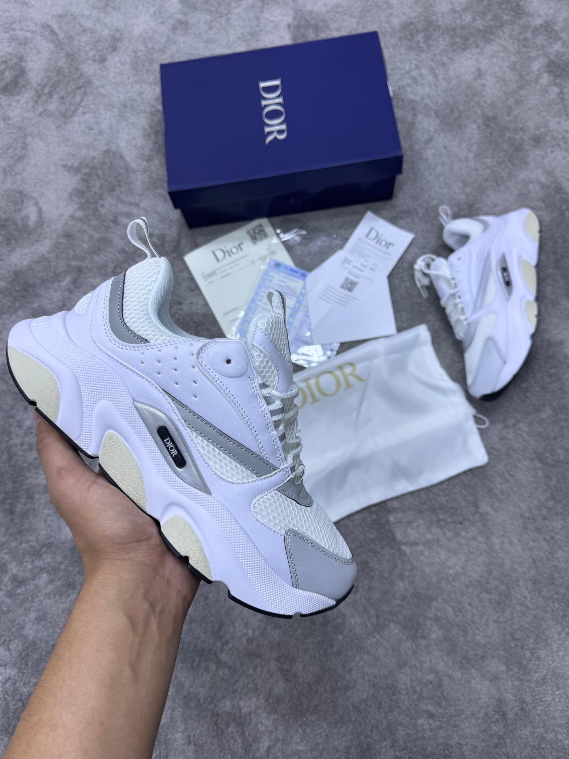 ZAPATILLA DIOR B22 – 40, 41, 42, 43, 44, 45