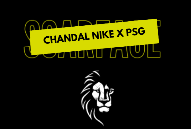 CHANDAL NIKE X PSG