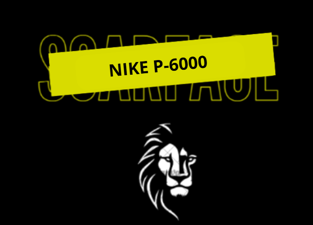 NIKE P-6000